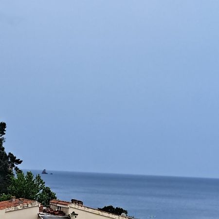 The Four Fish Petrovac Exterior foto